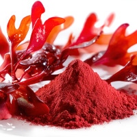 Astaxanthin: Nature’s Pink Powerhouse!
