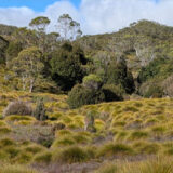 Cradle Mountain National Park, Tasmania