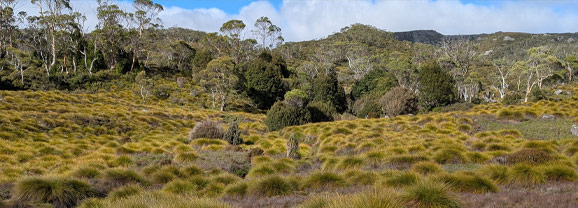 Cradle Mountain National Park, Tasmania